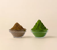 Hōjicha and Okumidori powder side by side in glass bowls