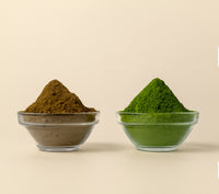 Shōgun & Hōjicha Set