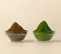 Hikari & Hōjicha Set