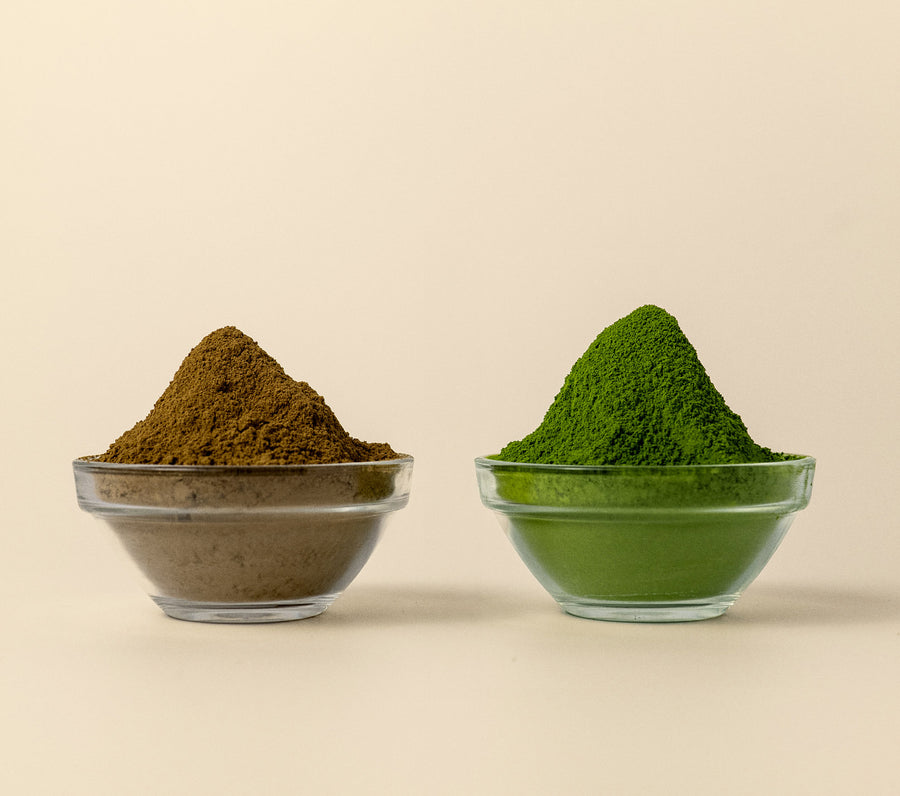 Hōjicha and matcha powder side by side in glass bowls