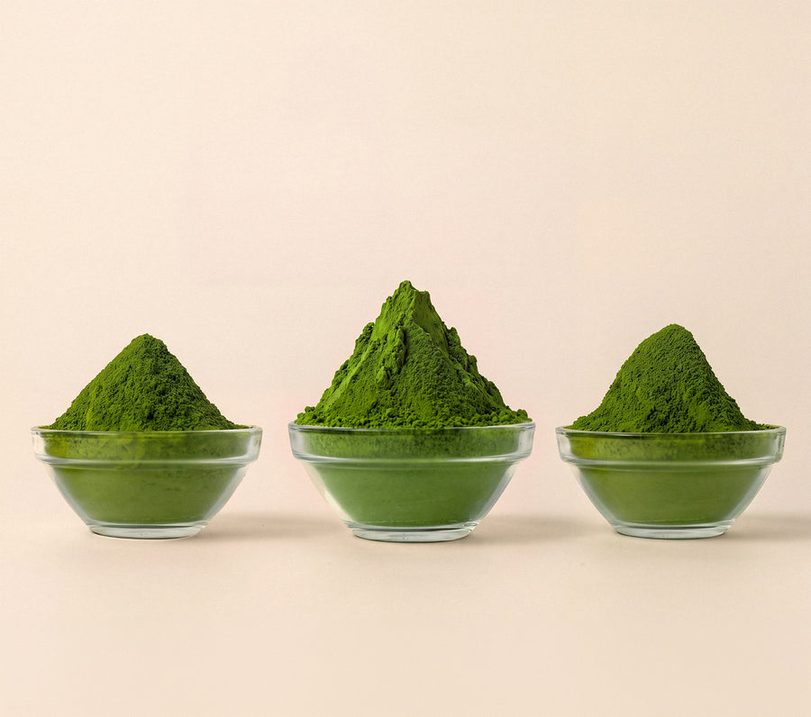 Three matcha powders side by side in small glass bowls