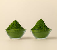 Shōgun & Hikari Set